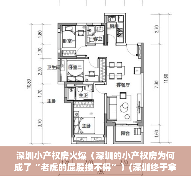 深圳小产权房火爆（深圳的小产权房为何成了“老虎的屁股摸不得”）(深圳终于拿小产权房“开刀”了)