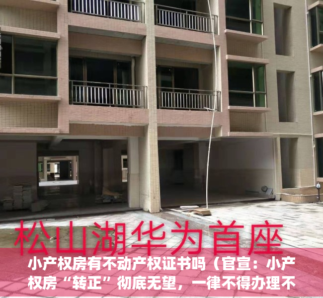 小产权房有不动产权证书吗（官宣：小产权房“转正”彻底无望，一律不得办理不动产登记手续！）