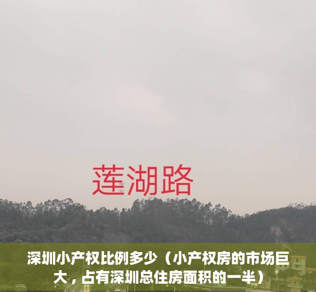 深圳小产权比例多少（小产权房的市场巨大 , 占有深圳总住房面积的一半）