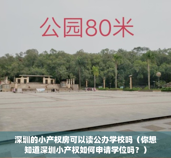 深圳的小产权房可以读公办学校吗（你想知道深圳小产权如何申请学位吗？）