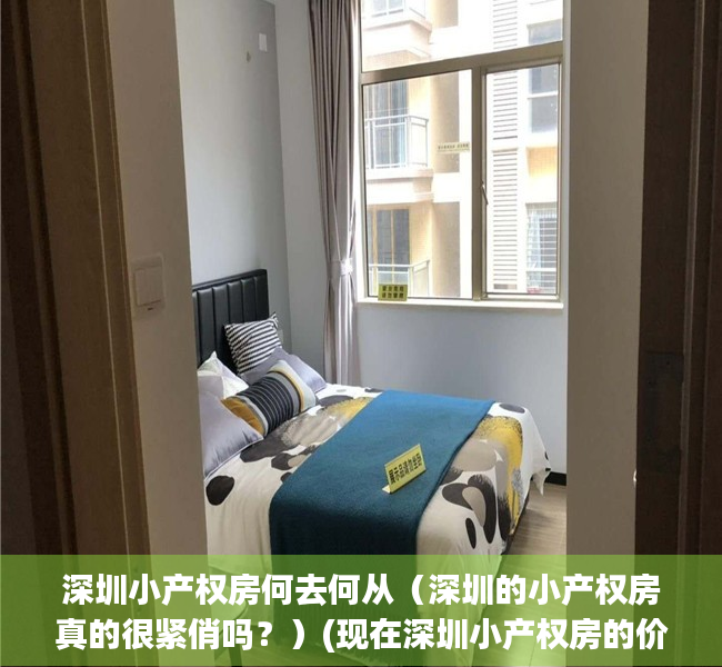 深圳小产权房何去何从（深圳的小产权房真的很紧俏吗？）(现在深圳小产权房的价格是多少)