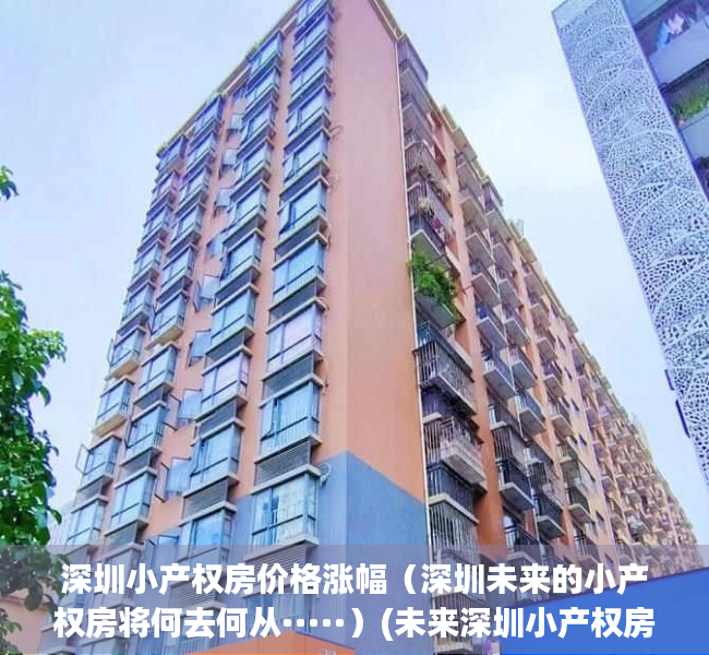 深圳小产权房价格涨幅（深圳未来的小产权房将何去何从·····）(未来深圳小产权房房价走势)