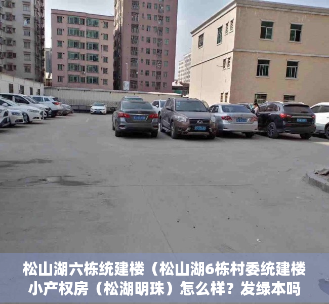 松山湖六栋统建楼（松山湖6栋村委统建楼小产权房（松湖明珠）怎么样？发绿本吗？）