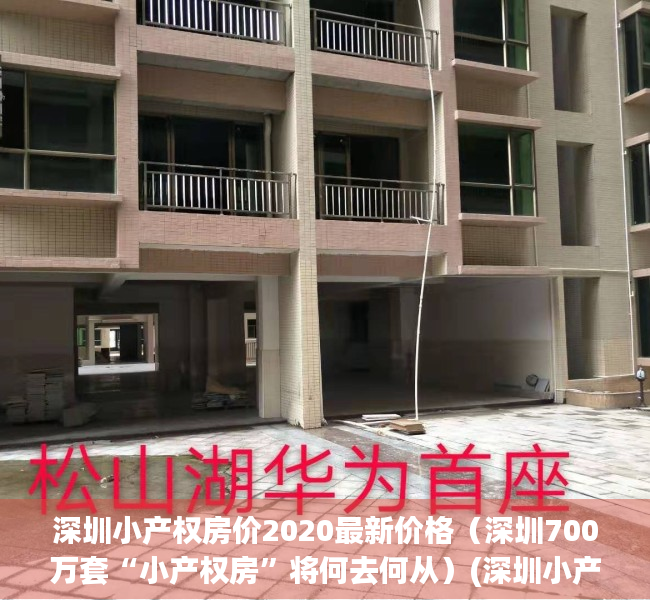 深圳小产权房价2020最新价格（深圳700万套“小产权房”将何去何从）(深圳小产权房最新政策2021房价)