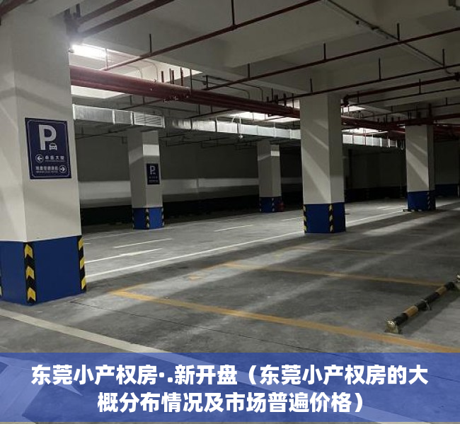 东莞小产权房·.新开盘（东莞小产权房的大概分布情况及市场普遍价格）