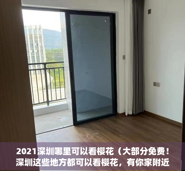 2021深圳哪里可以看樱花（大部分免费！深圳这些地方都可以看樱花，有你家附近的吗？）