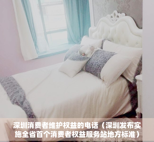 深圳消费者维护权益的电话（深圳发布实施全省首个消费者权益服务站地方标准）