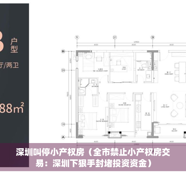 深圳叫停小产权房（全市禁止小产权房交易：深圳下狠手封堵投资资金）