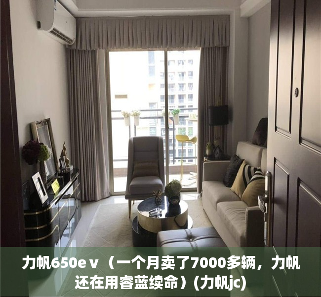 力帆650eⅴ（一个月卖了7000多辆，力帆还在用睿蓝续命）(力帆jc)