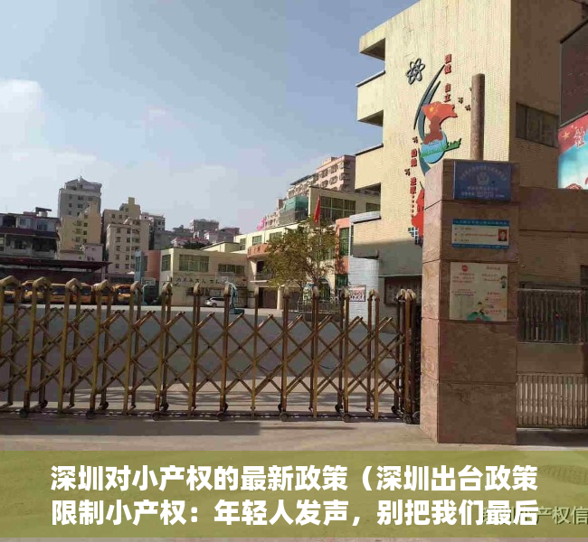 深圳对小产权的最新政策（深圳出台政策限制小产权：年轻人发声，别把我们最后一条路都堵上）