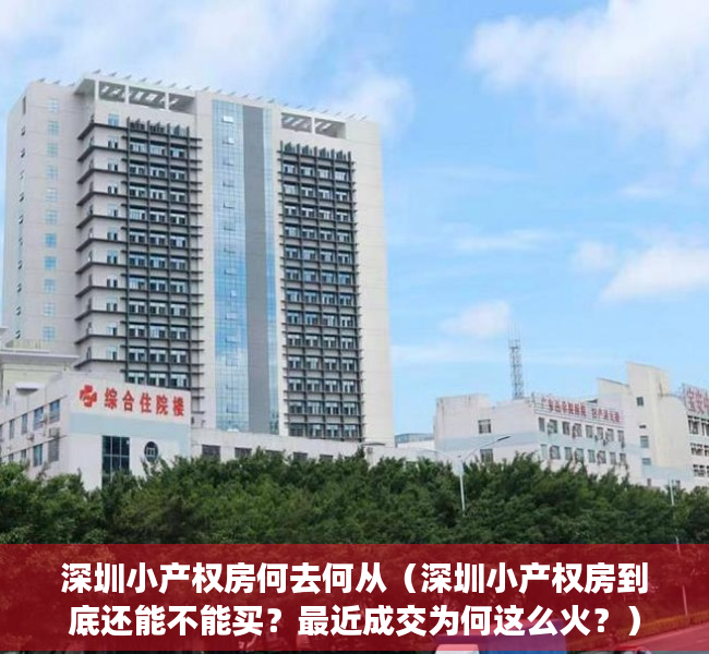 深圳小产权房何去何从（深圳小产权房到底还能不能买？最近成交为何这么火？）