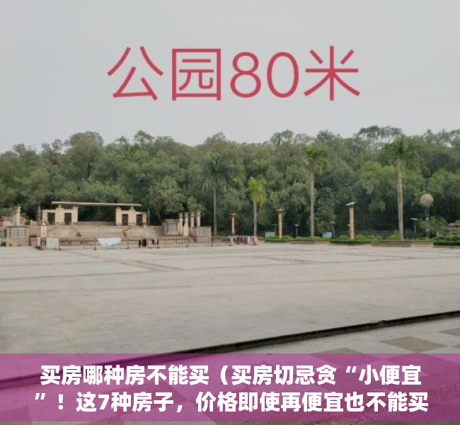 买房哪种房不能买（买房切忌贪“小便宜”！这7种房子，价格即使再便宜也不能买）