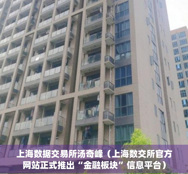 上海数据交易所汤奇峰（上海数交所官方网站正式推出“金融板块”信息平台）