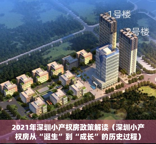 2021年深圳小产权房政策解读（深圳小产权房从“诞生”到“成长”的历史过程）