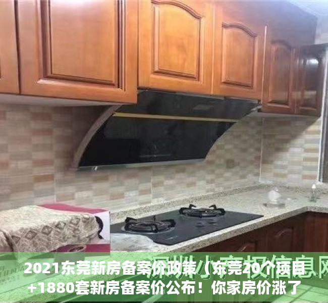 2021东莞新房备案价政策（东莞20个项目+1880套新房备案价公布！你家房价涨了吗？）