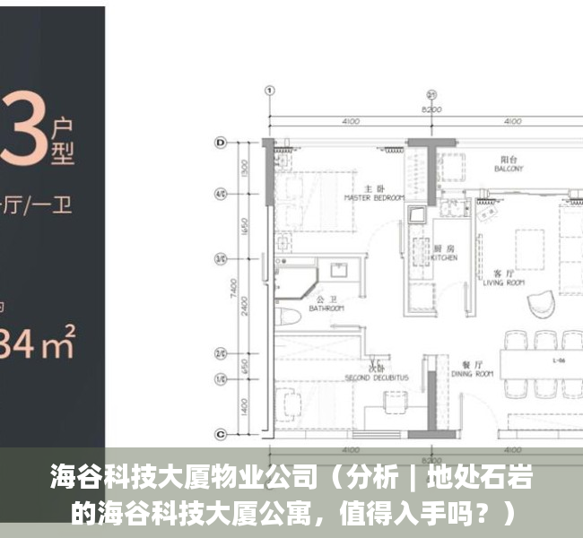 海谷科技大厦物业公司（分析︱地处石岩的海谷科技大厦公寓，值得入手吗？）