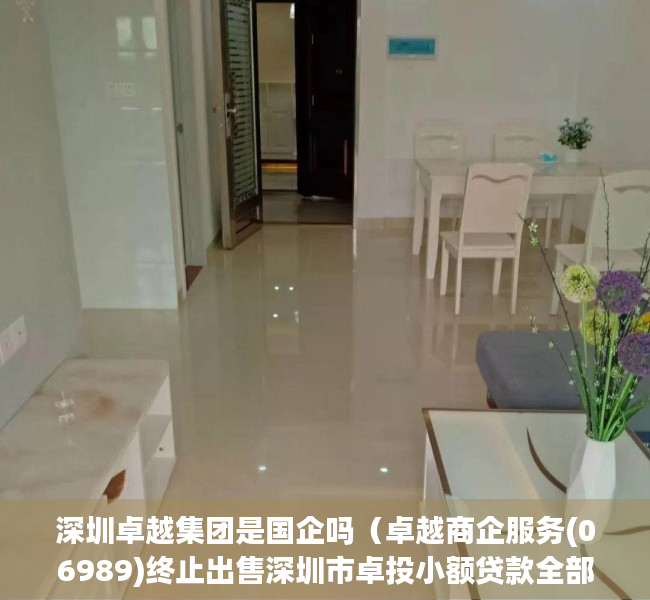 深圳卓越集团是国企吗（卓越商企服务(06989)终止出售深圳市卓投小额贷款全部股权）