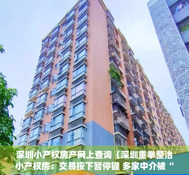 深圳小产权房产网上查询（深圳重拳整治小产权房：交易按下暂停键 多家中介被“查封”）