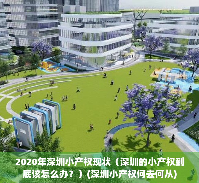 2020年深圳小产权现状（深圳的小产权到底该怎么办？）(深圳小产权何去何从)