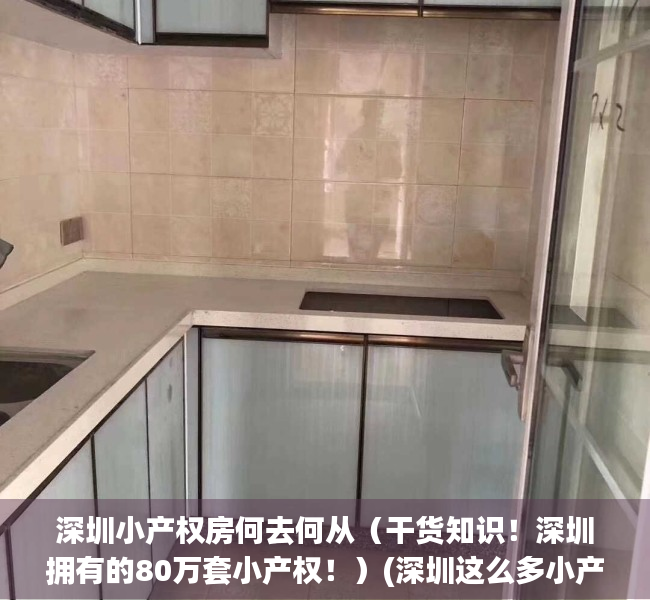 深圳小产权房何去何从（干货知识！深圳拥有的80万套小产权！）(深圳这么多小产权房何去何从)