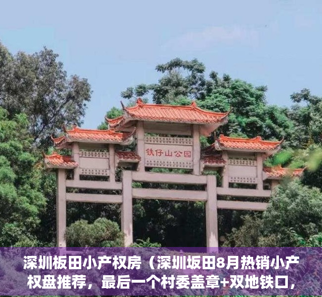 深圳板田小产权房（深圳坂田8月热销小产权盘推荐，最后一个村委盖章+双地铁口，豪华两房仅598万）