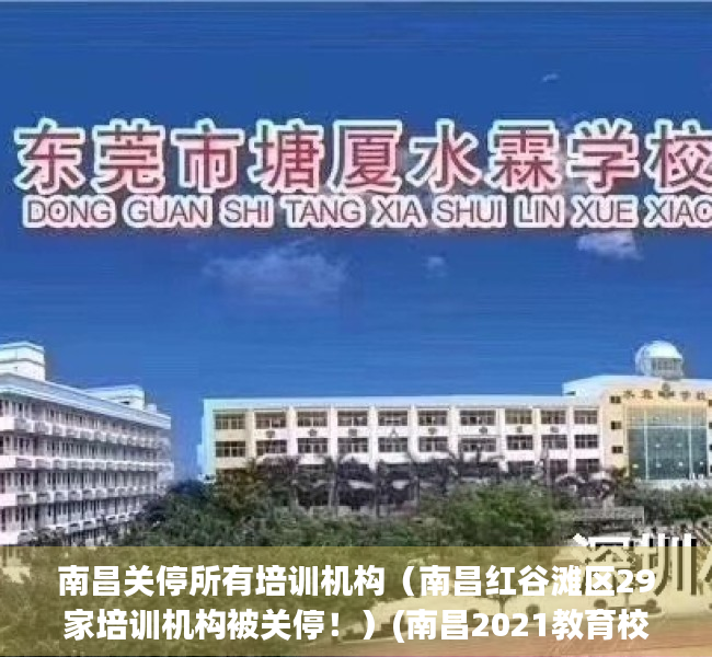 南昌关停所有培训机构（南昌红谷滩区29家培训机构被关停！）(南昌2021教育校外培训停止通知)