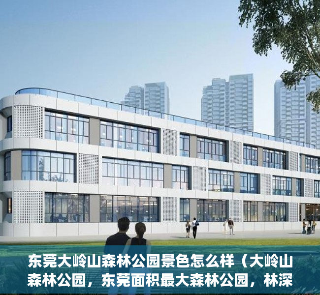 东莞大岭山森林公园景色怎么样（大岭山森林公园，东莞面积最大森林公园，林深树茂，山水尽揽怀中）