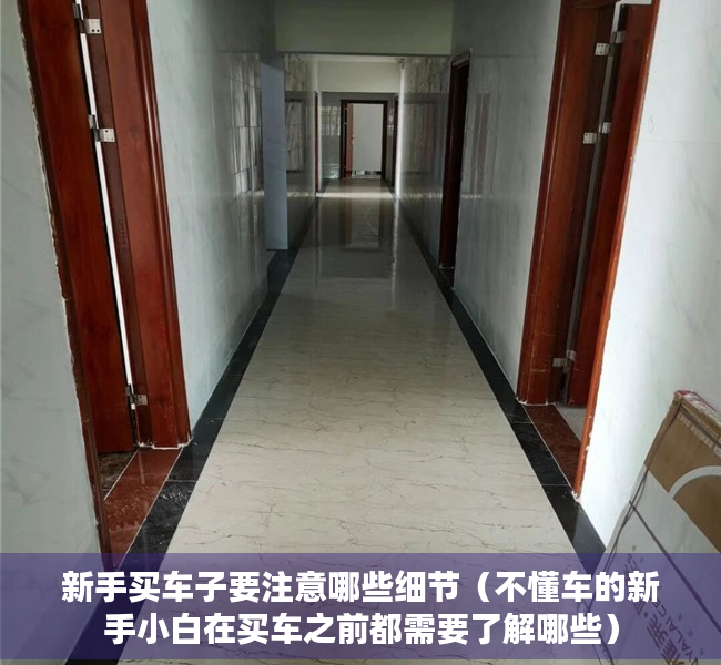 新手买车子要注意哪些细节（不懂车的新手小白在买车之前都需要了解哪些）
