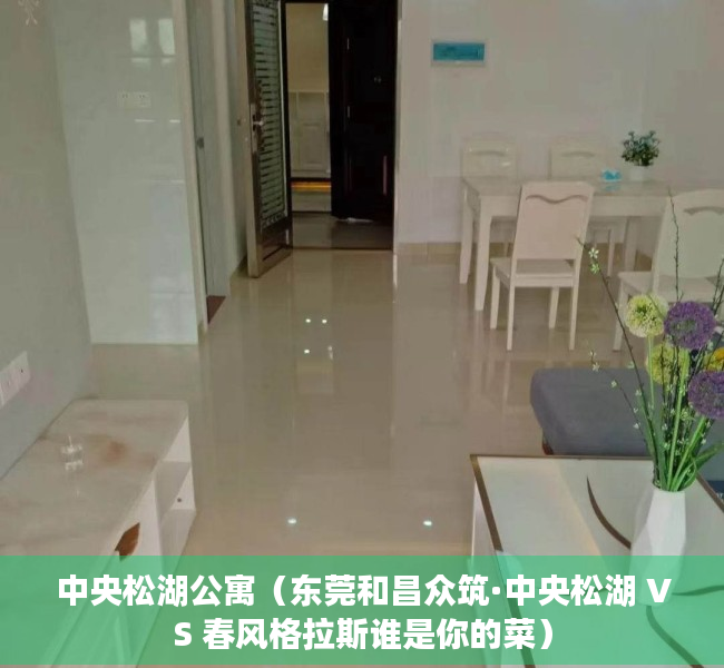 中央松湖公寓（东莞和昌众筑·中央松湖 VS 春风格拉斯谁是你的菜）