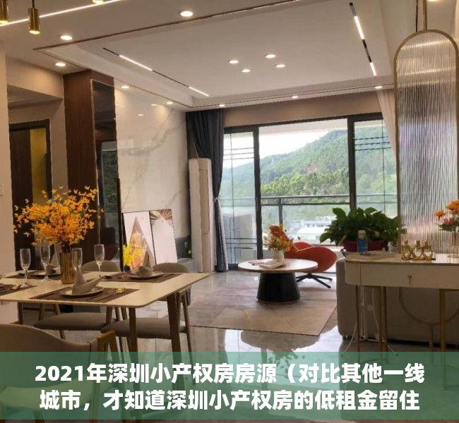 2021年深圳小产权房房源（对比其他一线城市，才知道深圳小产权房的低租金留住了大部分人）