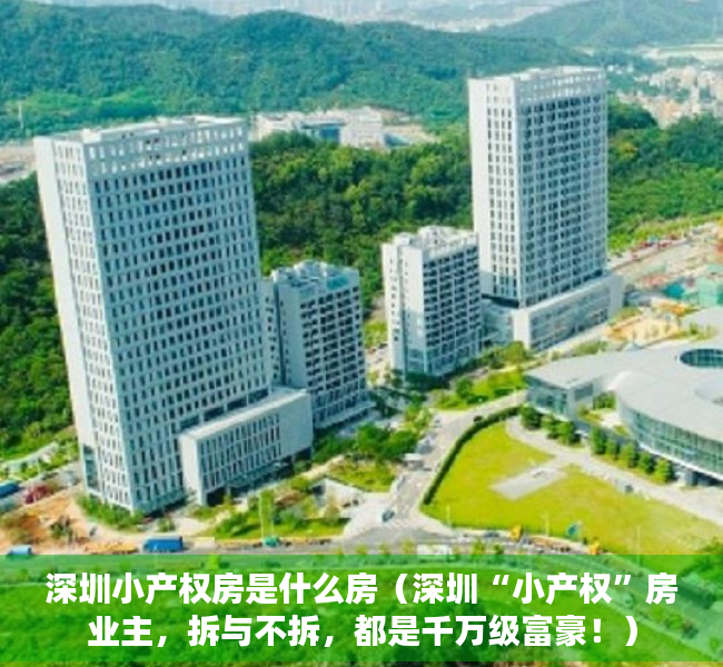 深圳小产权房是什么房（深圳“小产权”房业主，拆与不拆，都是千万级富豪！）