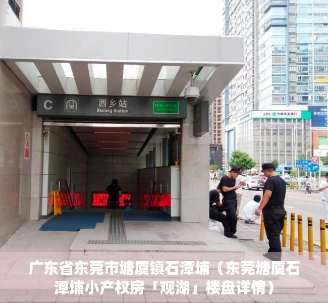 广东省东莞市塘厦镇石潭埔（东莞塘厦石潭埔小产权房「观湖」楼盘详情）