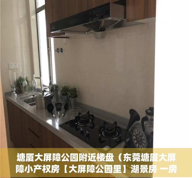 塘厦大屏障公园附近楼盘（东莞塘厦大屏障小产权房【大屏障公园里】湖景房 一房378万起 两房488万起 三房508万起）