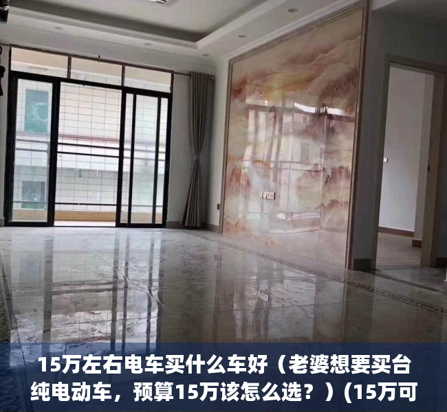 15万左右电车买什么车好（老婆想要买台纯电动车，预算15万该怎么选？）(15万可以买什么电动车)