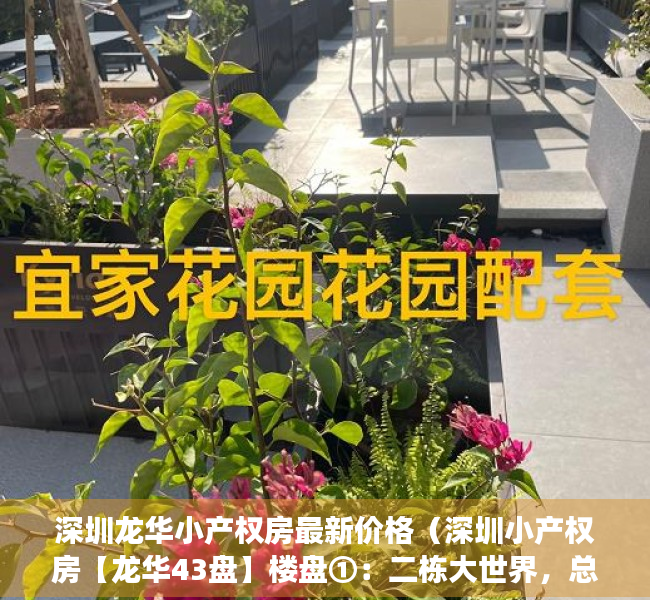 深圳龙华小产权房最新价格（深圳小产权房【龙华43盘】楼盘①：二栋大世界，总价34万套起；楼盘②）