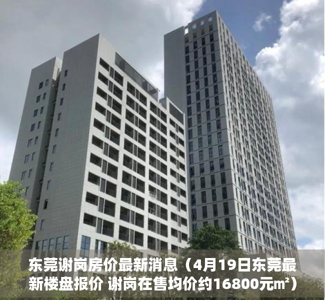 东莞谢岗房价最新消息（4月19日东莞最新楼盘报价 谢岗在售均价约16800元㎡）