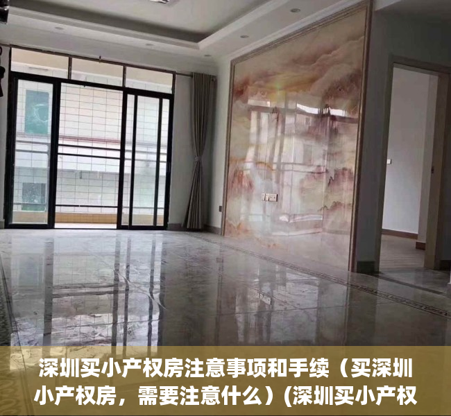 深圳买小产权房注意事项和手续（买深圳小产权房，需要注意什么）(深圳买小产权房攻略)
