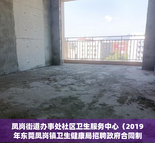 凤岗街道办事处社区卫生服务中心（2019年东莞凤岗镇卫生健康局招聘政府合同制聘员公告）