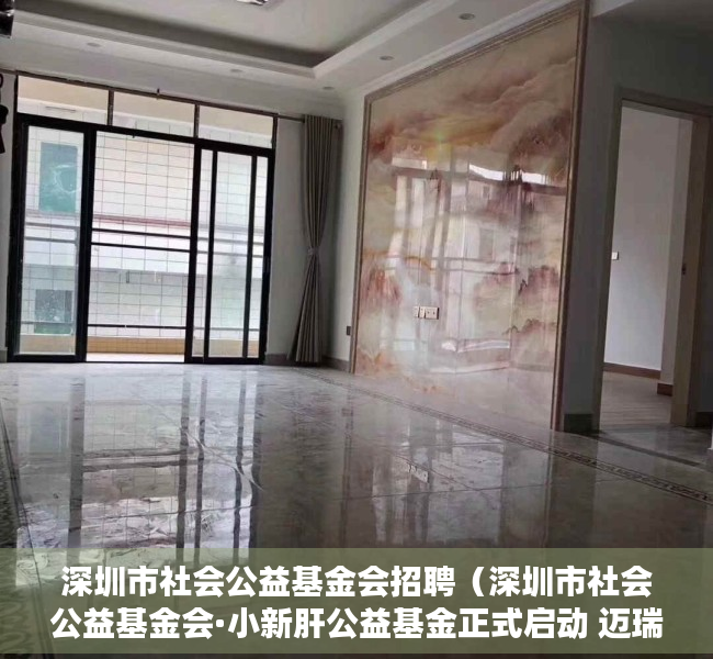 深圳市社会公益基金会招聘（深圳市社会公益基金会·小新肝公益基金正式启动 迈瑞医疗积极参与）
