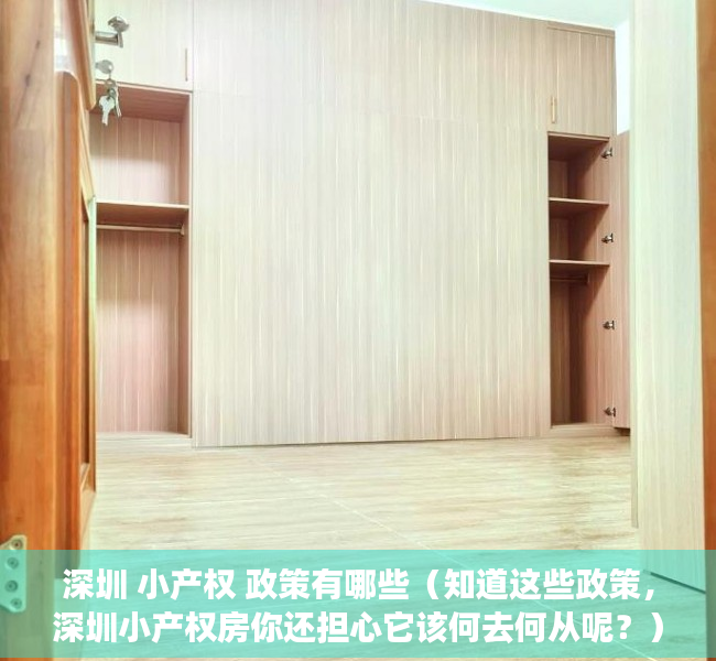 深圳 小产权 政策有哪些（知道这些政策，深圳小产权房你还担心它该何去何从呢？）