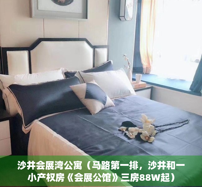 沙井会展湾公寓（马路第一排，沙井和一小产权房《会展公馆》三房88W起）