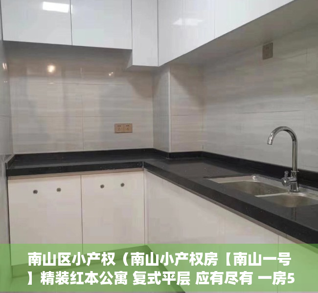 南山区小产权（南山小产权房【南山一号】精装红本公寓 复式平层 应有尽有 一房50万起 两房150万起  三房190万起 不限购 可分期）