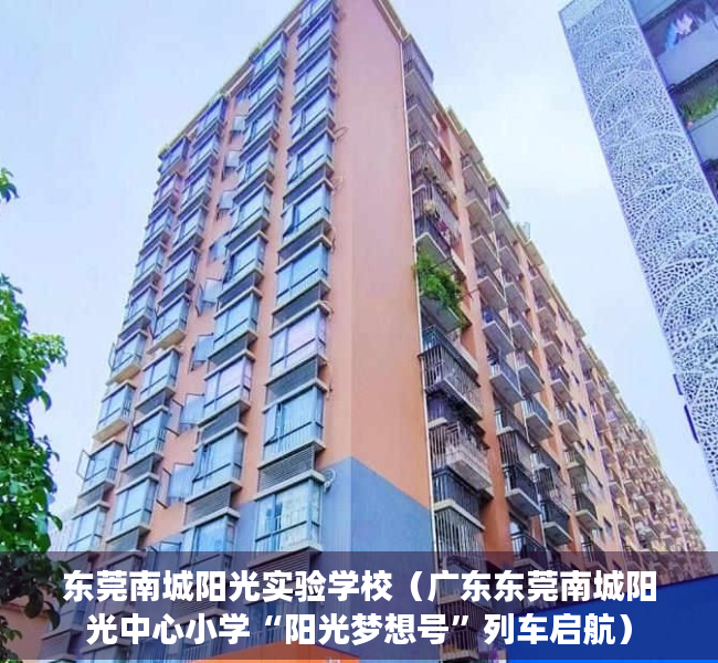东莞南城阳光实验学校（广东东莞南城阳光中心小学“阳光梦想号”列车启航）