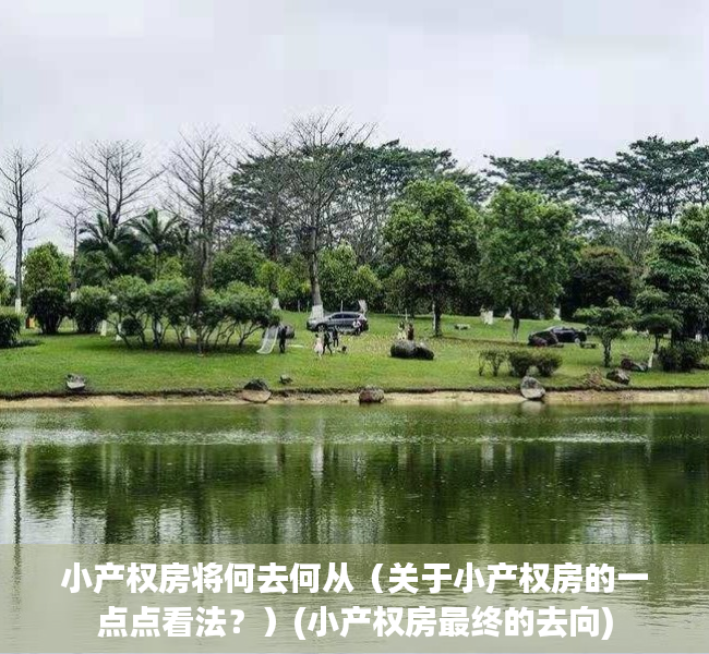 小产权房将何去何从（关于小产权房的一点点看法？）(小产权房最终的去向)
