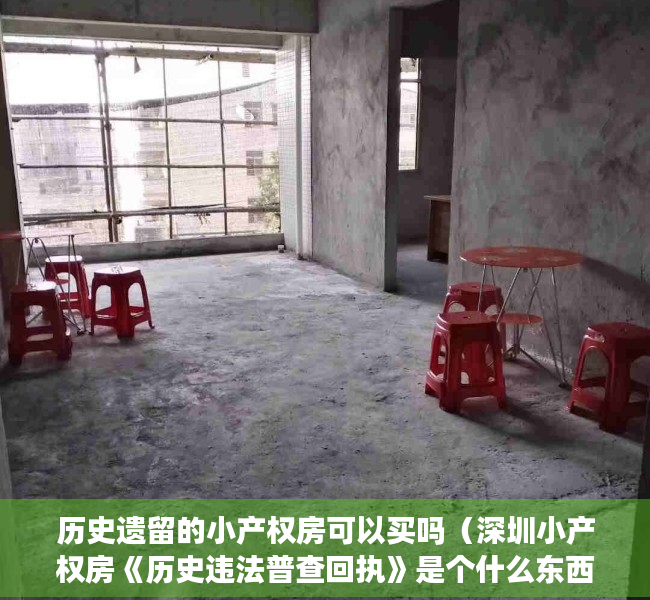 历史遗留的小产权房可以买吗（深圳小产权房《历史违法普查回执》是个什么东西？）
