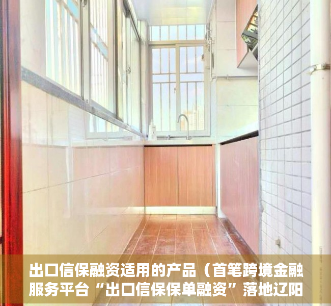 出口信保融资适用的产品（首笔跨境金融服务平台“出口信保保单融资”落地辽阳）