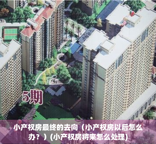 小产权房最终的去向（小产权房以后怎么办？）(小产权房将来怎么处理)