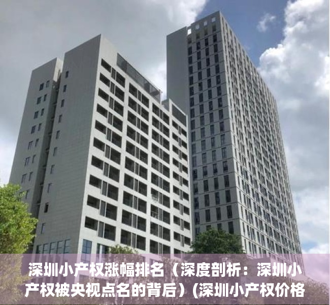 深圳小产权涨幅排名（深度剖析：深圳小产权被央视点名的背后）(深圳小产权价格变化)