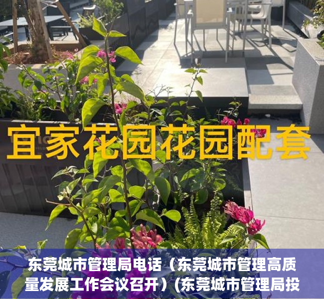 东莞城市管理局电话（东莞城市管理高质量发展工作会议召开）(东莞城市管理局投诉电话)