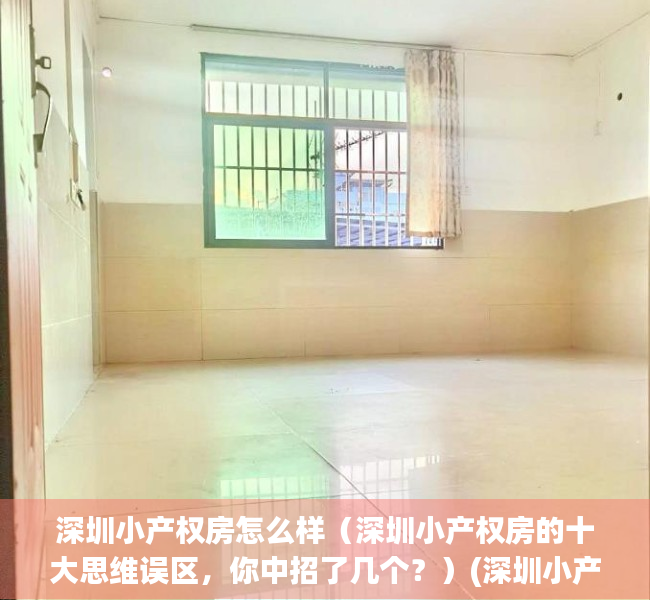 深圳小产权房怎么样（深圳小产权房的十大思维误区，你中招了几个？）(深圳小产权房好吗)